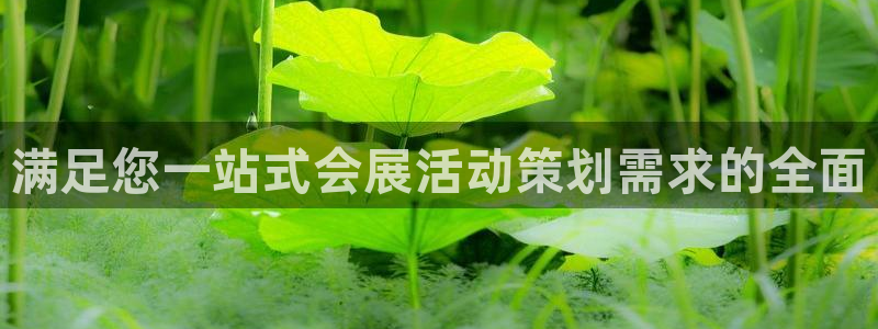 果博有假吗：满足您一站式会展活动策划需求的全面
