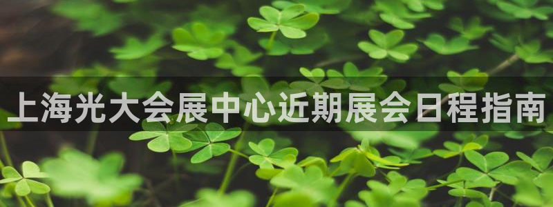 果博平台真实吗安全吗可靠吗：上海光大会展
