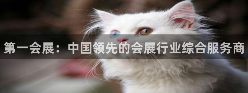 果博公司注册：第一会展：中国领先的会展行业综合服务商