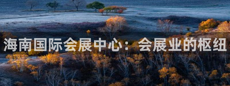 果博怎么注册账号：海南国际会展中心：会展