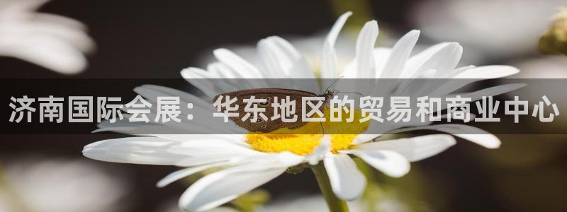 果博公司怎么注册会员：济南国际会展：华东地区的贸易和商业中心