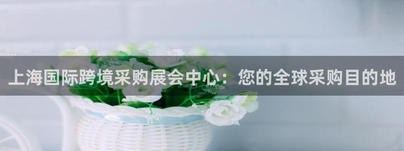果博注册账号链接：上海国际跨境采购展会中心：您的全球采购目的地