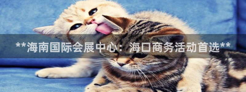 果博平台真实吗安全吗可信吗：**海南国际