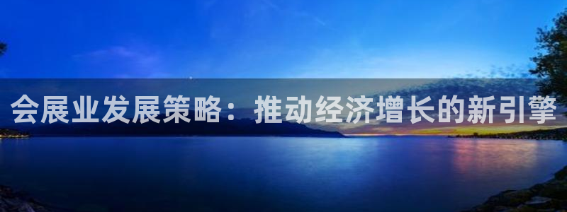 果博手机版官方下载：会展业发展策略：推动经济增长的新引擎