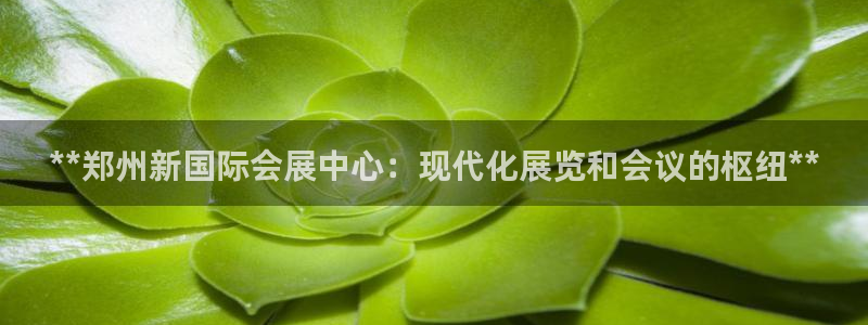 果博公司上分客服：**郑州新国际会展中心：现代化展览和会议的枢纽**