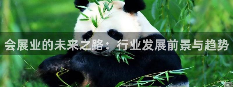 果博平台赖不赖：会展业的未来之路：行业发展前景与趋势