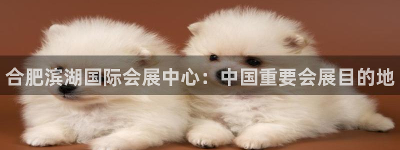 果博代理：合肥滨湖国际会展中心：中国重要会展目的地
