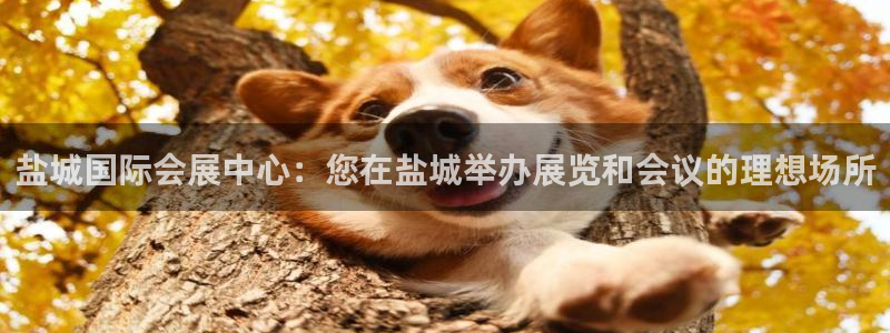 果博注册客服电话：盐城国际会展中心：您在盐城举办展览和会议的理想场所