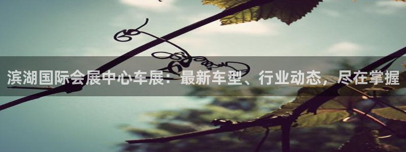果博公司在线客服：滨湖国际会展中心车展：