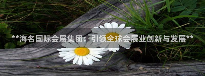 果博官网客服电话号码：**海名国际会展集团：引领全球会展业创新与发展**