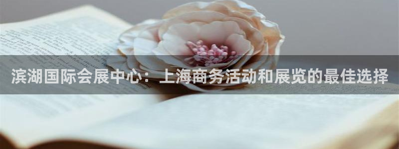 果博公司客服：滨湖国际会展中心：上海商务