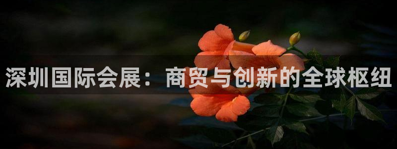 果博公司会员注册账号开户：深圳国际会展：商贸与创新的全球枢纽