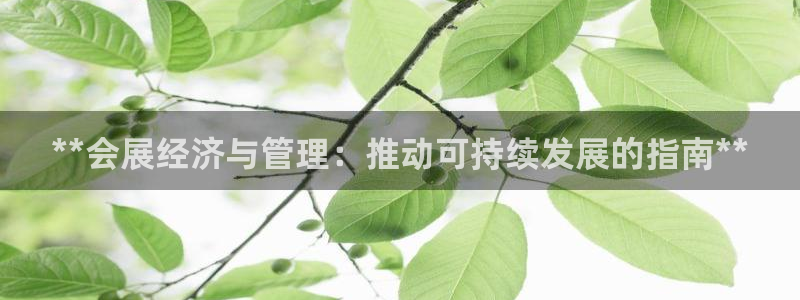 果博平台怎么下载?：**会展经济与管理：