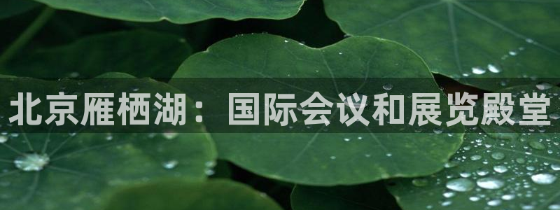 果博公司客服微信公众号：北京雁栖湖：国际