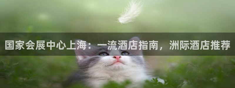 果博网站二维码：国家会展中心上海：一流酒