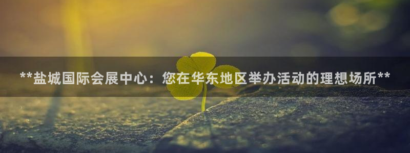 果博注册平台怎么注册不了：**盐城国际会