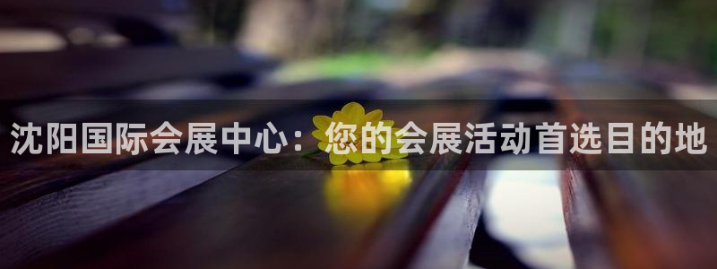 果博手机下载网址：沈阳国际会展中心：您的会展活动首选目的地