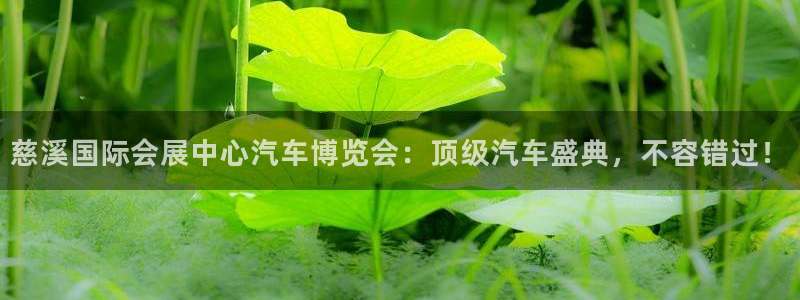 苹果电脑怎么下载伯索：慈溪国际会展中心汽车博览会：顶级汽车盛典，不容错过！