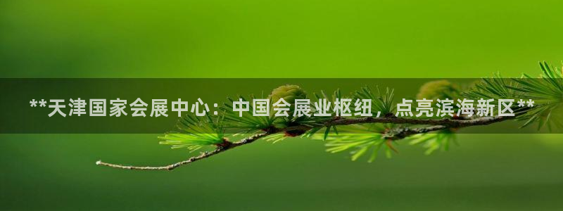 果博app官网下载：**天津国家会展中心：中国会展业枢纽，点亮滨海新区**
