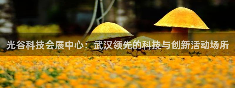 果博平台开户电话查询：光谷科技会展中心：武汉领先的科技与创新活动场所