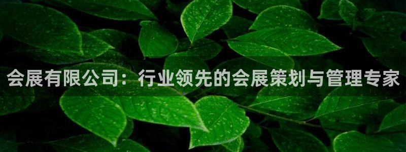 果博环保官网：会展有限公司：行业领先的会展策划与管理专家