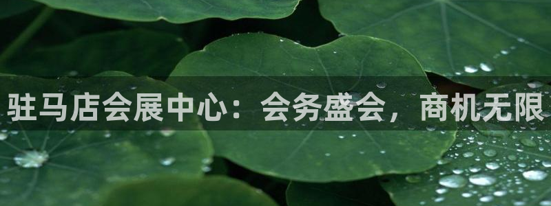 果博注册账号链接：驻马店会展中心：会务盛会，商机无限