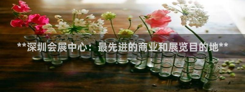果博官方热线：**深圳会展中心：最先进的商业和展览目的地**