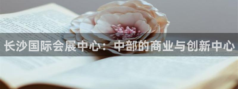 下载果博博东方：长沙国际会展中心：中部的