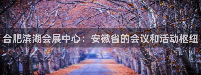 果搏东方客服：合肥滨湖会展中心：安徽省的会议和活动枢纽