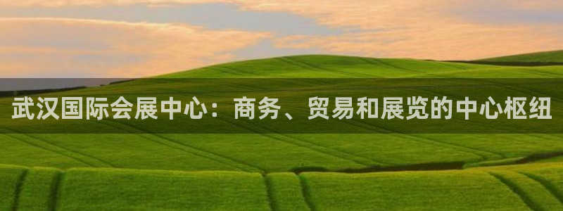 果博官方：武汉国际会展中心：商务、贸易和展览的中心枢纽