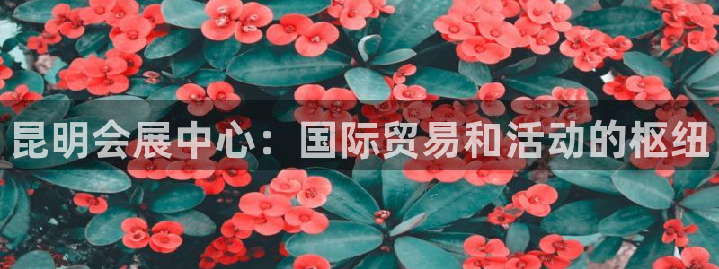 果博公司会员注册账号：昆明会展中心：国际贸易和活动的枢纽