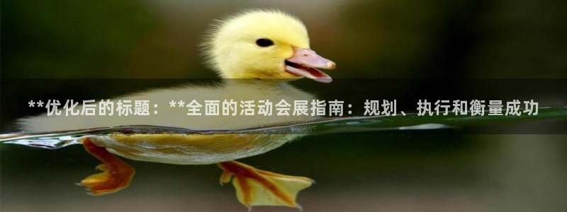果博注册会员：**优化后的标题：**全面的活动会展指南：规划、执行和衡量成功