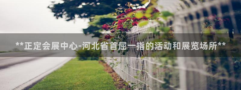 果博平台赖不赖：**正定会展中心-河北省首屈一指的活动和展览场所**