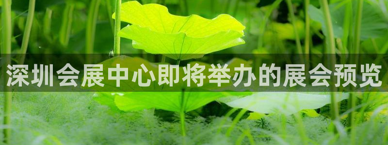 果博公司直属会员开户：深圳会展中心即将举办的展会预览