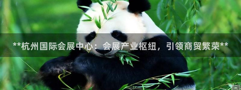 果博官方网：**杭州国际会展中心：会展产