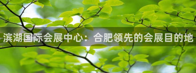 果博平台真实吗安全吗可信吗可靠吗：滨湖国际会展中心：合肥领先的会展目的地