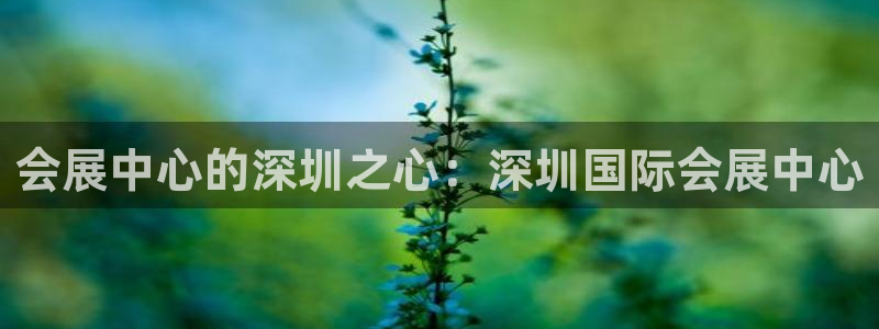 果博公司注册：会展中心的深圳之心：深圳国际会展中心