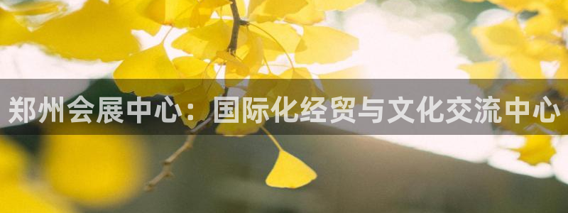 果博手机下载：郑州会展中心：国际化经贸与文化交流中心