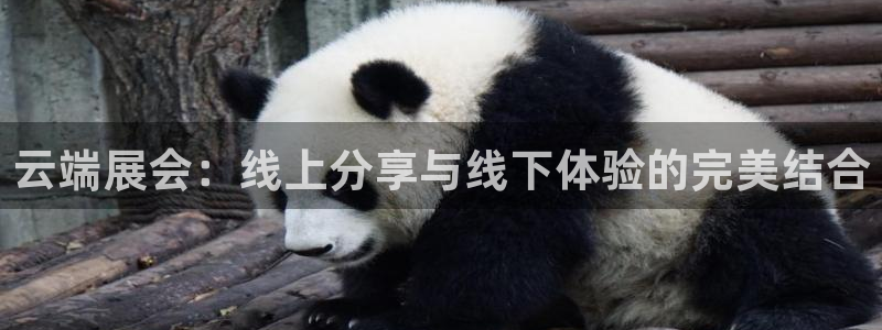 果博账号注册要钱吗：云端展会：线上分享与线下体验的完美结合