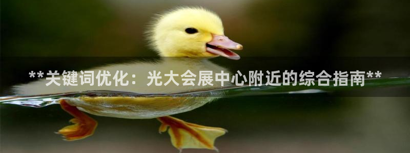 果博平台客服电话：**关键词优化：光大会展中心附近的综合指南**
