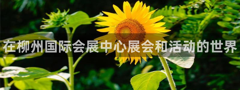 果博公司客服：在柳州国际会展中心展会和活