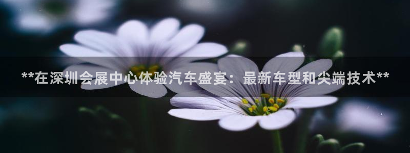 果博公司客服怎么样：**在深圳会展中心体验汽车盛宴：最新车型和尖端技术**