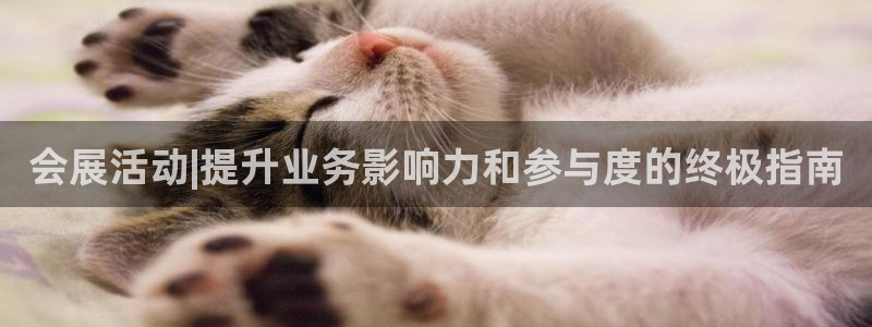 果博官网首页：会展活动|提升业务影响力和参与度的终极指南