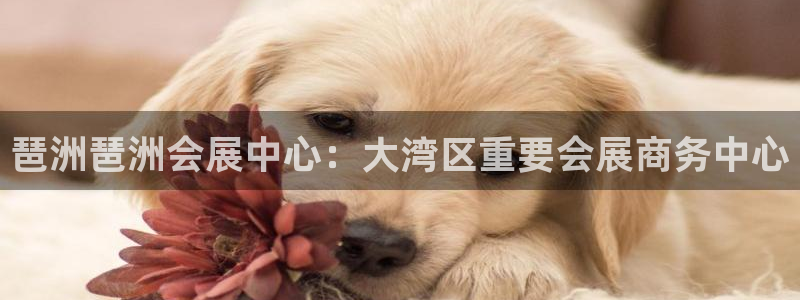 果博客服联系电话：琶洲琶洲会展中心：大湾区重要会展商务中心