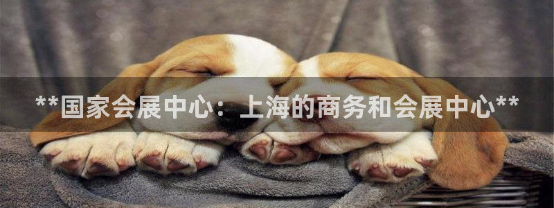 果博平台真实吗安全吗是真的吗：**国家会展中心：上海的商务和会展中心**