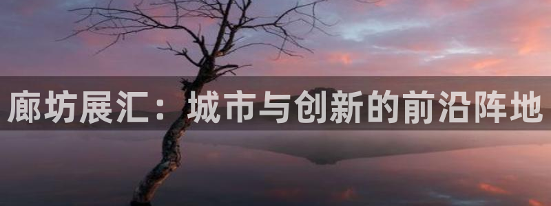 果博真人：廊坊展汇：城市与创新的前沿阵地