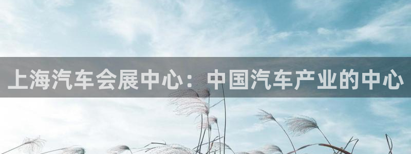 果博代理网：上海汽车会展中心：中国汽车产业的中心