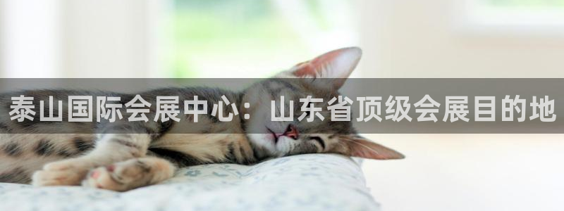 果博官方网：泰山国际会展中心：山东省顶级会展目的地