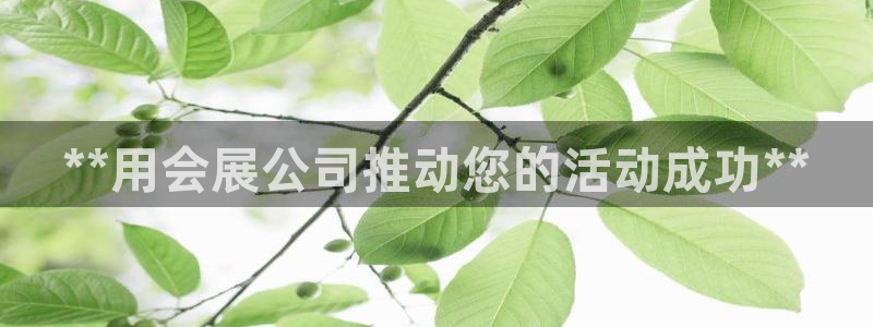 果博公司在线客服：**用会展公司推动您的活动成功**