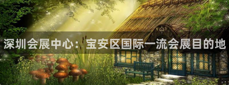 果博注册平台怎么注册不了：深圳会展中心：宝安区国际一流会展目的地